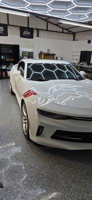 Superior Coatings Texas