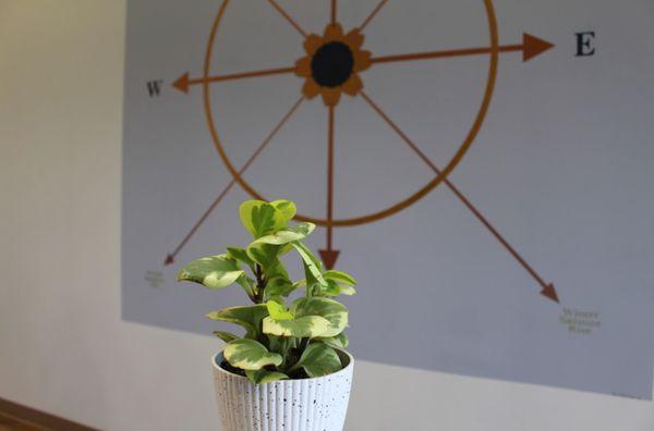 Solstice Dental and Aesthetics