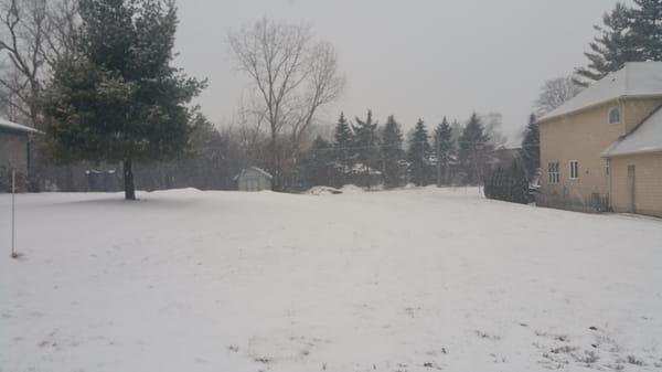 Evolutionary Home Builders