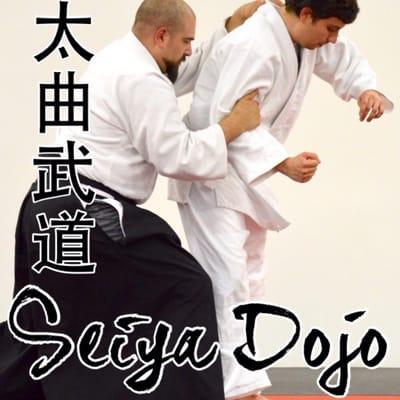 Taikyoku Budo Seiya Dojo