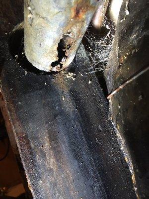 Complete Flooring And Maintenance