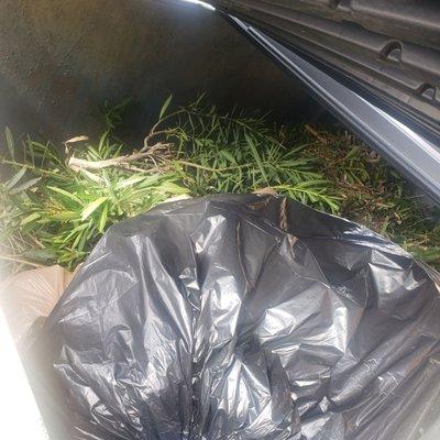 CLM at it's "finest". This is supposed to be hauled away, not dumped into the complex dumpsters.