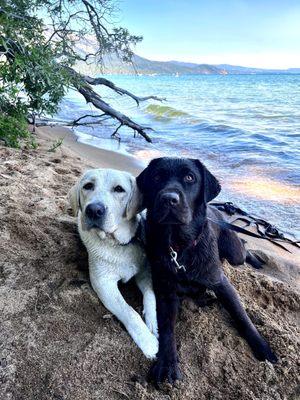 Tahoe Best Friends