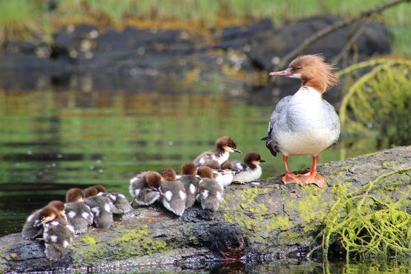 Alaska Sea Cycle Tours