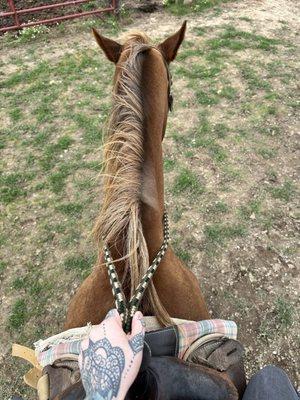 Knoblock Riding Stable