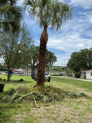 N & N Florida Services