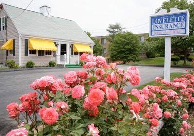 Marshall K Lovelette Insurance Agency