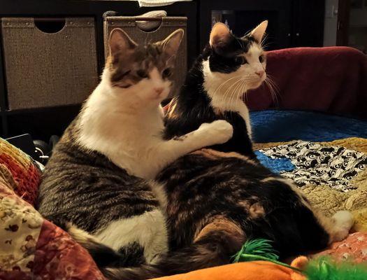 We got something from Must Love Dogs?!