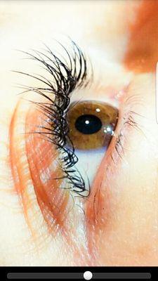 Lash extensions close up