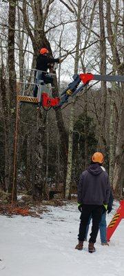 Mike's Outdoor Maintenance & Tree Removal