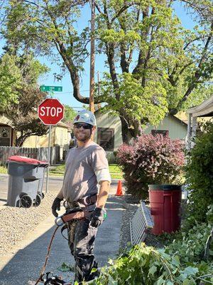 Jackson County Arborist