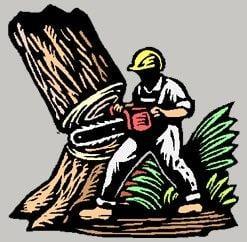 Timber Tree Service