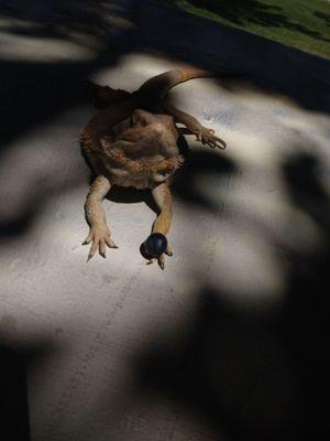 Victor Village Recreation Center