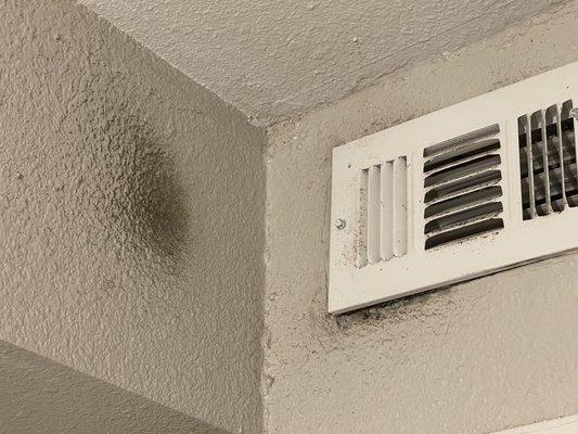 The mildew/mold near the vents which I specifically told her was important to clean. I have a stool but it is hard for me to put my arms up.