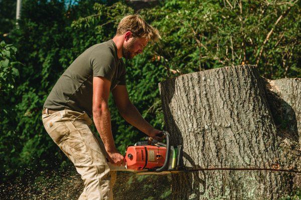 Helger Bros Tree Service