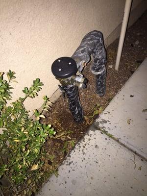 McGarey Partners- BHHS Nevada Properties