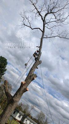 National Hills Tree Service