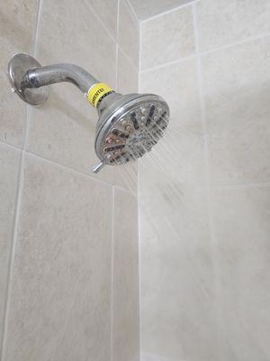 Rusty shower head