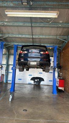 Dynasty Automotive and Performance