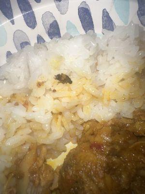 Harry's Shoreview Deli