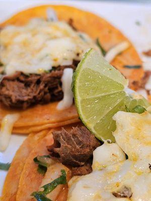 Close-up of the Chessy Tacos Birria main dish.