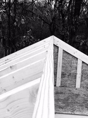 Stephen Shriver Painting & Remodeling