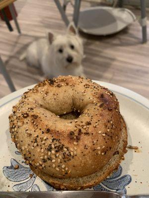 New York Bagel Butler