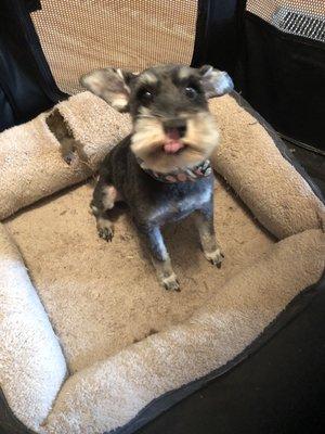 Deb's Doggy Bath House