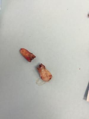 New Smiles Implant & Orthodontic Center