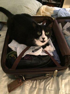 Animal Nanny Pet Sitting