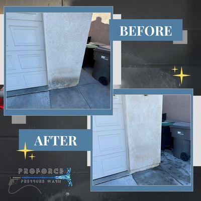 ProForce Pressure Wash