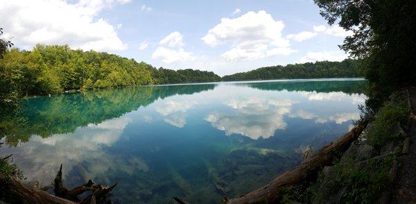 Firm Insurance Agency