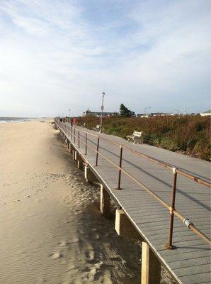 Spring Lake Boardwalk