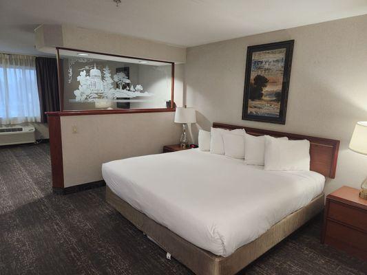Great size seems like king bed with a divider from the living room