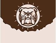 Road Dawgz Mobile Auto Repair