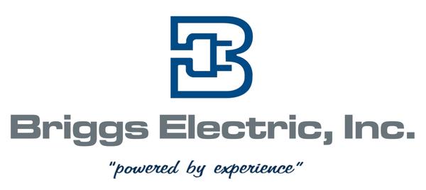 Briggs Electric