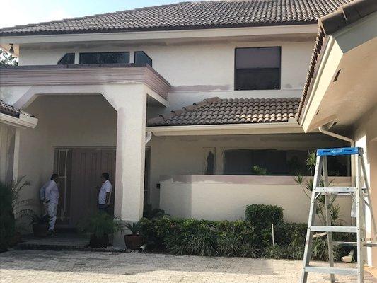 D'amico's Custom Painting