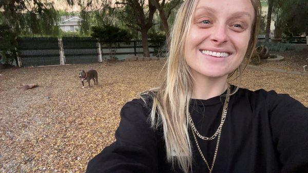 Ashley Stein Araiza, DDS