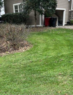 Landscaping