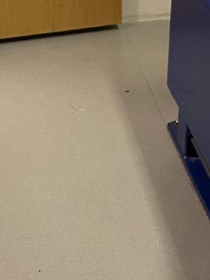 Cox Medical Center-North