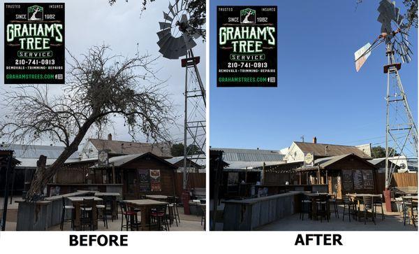 Tree and stump removal at 11th St. Cowboy Bar, Bandera Texas. Summer 2024