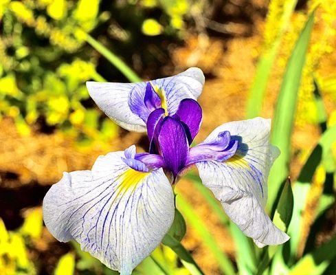 Tru Life Photography