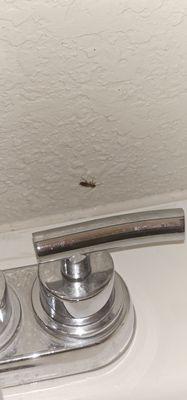 InTown Suites Extended Stay Birmingham AL - Homewood