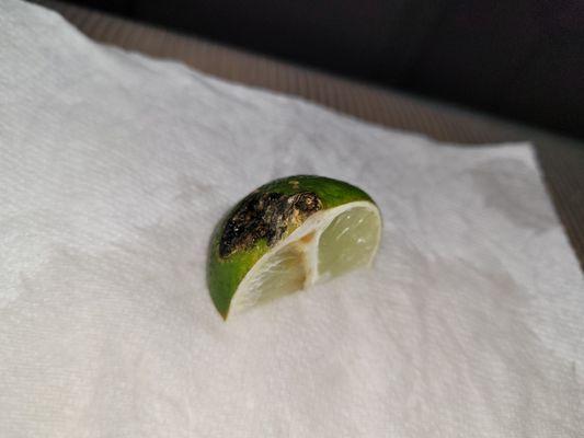 Gross lime that came with my Midnight Fried Rice.