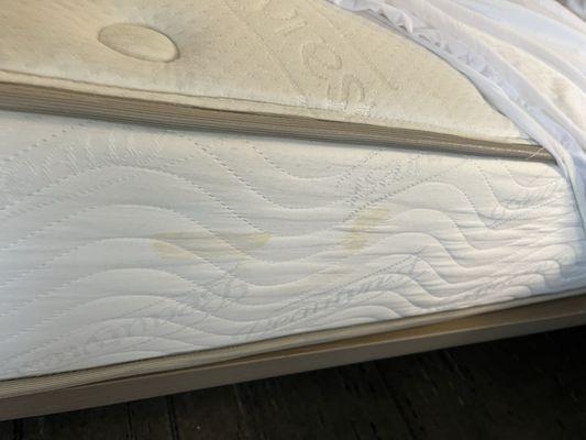 Holiday Inn Express & Suites San Antonio South