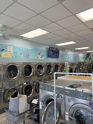 Tropical Laundromat