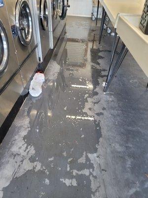 What you can't see is the dirt, hair and cigarette butts all over the place....nasty.