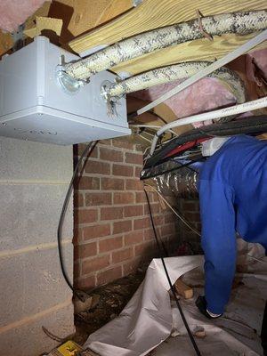 Freedom Wildlife Solutions