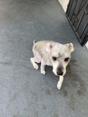 This is what we got back. Unacceptable