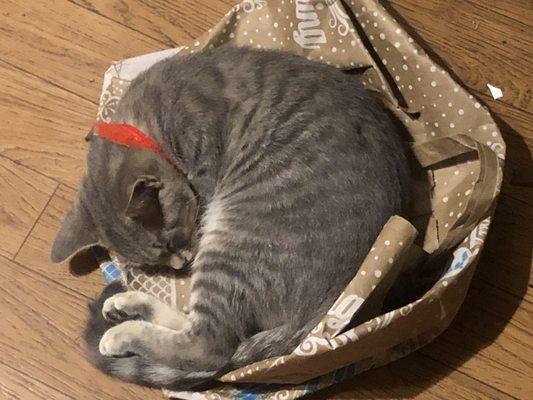 Burgaw Veterinary Hospital